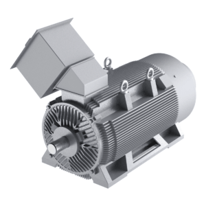 Medium-Voltage Totally Enclosed Fan-Cooled (TEFC) Motors (IEC)
