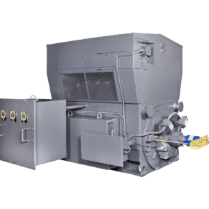 Weather Protected Type II Motors (WPII) – IEC