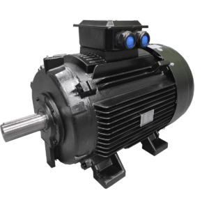 Cast Iron Frame V Series Self-Cooled Permanent Magnet Motors